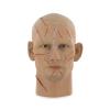  Artikelbild 2 des Artikels “1:6 Headsculpt Tadanobu Asan “