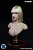  Artikelbild 2 des Artikels “Caucasian Female Headsculpt 1:6 “