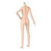  Artikelbild 2 des Artikels “Cacuasian Female Super Flexible Seamless Body (Small Bust) 1:6 “