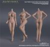  Product image 2 of the product “Caucasian Seamless Female Body (Large Bust) 1/6 ”