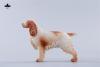  Product image 2 of the product “Cocker Spaniel Dog (White Brown)  1:6 ”