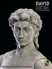 Product image 2 of the product “David 1/6 Muscular Body  with over 30 points of articulation. ”