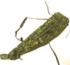  Artikelbild 2 des Artikels “Flecktarn Sniper bag “