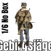  Product image 2 of the product “Alfons Walther  1. Ski - Jäger Division ”