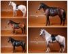  Artikelbild 2 des Artikels “Pferd - Hannoveraner - Weissschwarz im Maßstab 1:6 “