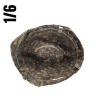  Artikelbild 2 des Artikels “Helm Cover, Platanen, Herbst 1/6 “