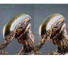  Product image 2 of the product “1:6 Hot Toys Aliens DOG ALIEN Alien Warrior ”