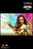  Product image 2 of the product “Wonder Woman 1984 - Golden Armor Wonder Woman (Deluxe Version) ”