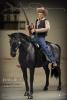  Product image 2 of the product “James Dean (Cowboy Deluxe Version) ”