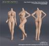  Product image 2 of the product “Caucasian Seamless Female Body (Large Bust) 1/6 ”