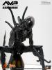  Artikelbild 2 des Artikels “sixth scale Alien Warrier 1/6 “
