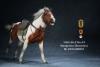  Artikelbild 2 des Artikels “Mongolica Horse (Brown White) - in 1:6 scale “