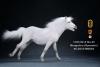  Artikelbild 2 des Artikels “Mongolica Horse (White) - in 1:6 scale “