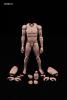  Product image 2 of the product “1/6 Male Body (narrow shoulders) ”