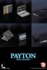  Artikelbild 2 des Artikels “Payton Iron Man 2 - “