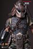  Artikelbild 2 des Artikels “Predators Noland “