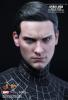  Artikelbild 2 des Artikels “Spider-Man (Black Suit Version) Limited Edition Collectible “