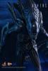  Artikelbild 2 des Artikels “Hot Toys, ALIEN WARRIOR “