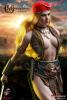  Product image 2 of the product “TBLeague (PHICEN) Arhian Pirate 1/6 Scale Action Figure ”
