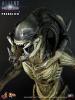  Artikelbild 2 des Artikels “1:6 Hot Predalien “