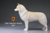  Artikelbild 2 des Artikels “Siberian Husky Dog (Beige) “