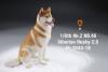  Artikelbild 2 des Artikels “Siberian Husky Dog 2.0 (Beige) 1:6 “