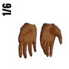  Artikelbild 2 des Artikels “Star Trek Commander Saru Hands 1/6 “