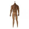  Product image 2 of the product “Tatoo Body (Brown) 1/6 ”