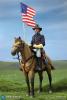  Artikelbild 2 des Artikels “US Civil War - Brown War Horse “