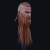  Product image 2 of the product “1/6  Viking WARLORD Head ”