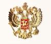  Product image 2 of the product “Iron Hand Vladimir Vladimirovich Putin 1/6 ”