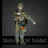  Product image 2 of the product “Wehrmacht  Soldat  1/6 (No Box) ”