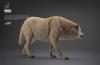  Artikelbild 2 des Artikels “1/6 weisser Wolf “