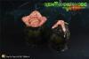  Product image 2 of the product “Xenomorph Egg with Facehugger Larva (Olive Drab) 1/6 ”