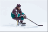  Product image 2 of the product “Sergei Fedorov ”