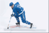  Artikelbild 2 des Artikels “Joe Sakic “