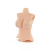  Product image 3 of the product “ZC Eve Body Tomb 1/6 ”