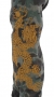  Artikelbild 3 des Artikels “Woodland Embroided Pants “