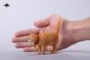  Product image 3 of the product “1/6 Scale Chinese Rural Cat (Black) ”