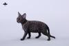  Artikelbild 3 des Artikels “1/3 Scale Devon Rex Cat (Black) “