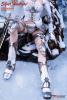  Product image 3 of the product “Silver Huntress 1/6th Scale Action Figure ”
