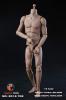  Artikelbild 3 des Artikels “1:6  Super Sports Body “