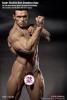  Product image 3 of the product “Seamless Ultra Muscle Body M35 1/6 ”