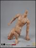  Product image 3 of the product “1/6 2.0 Long Neck male Body HIGH (narrow shoulders) ”
