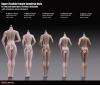  Artikelbild 3 des Artikels “TBLeague/Phicen Body  - mittler Oberweite - Hautfarbe Sun-Tan “