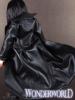  Artikelbild 3 des Artikels “Black warrior selene Wildworld “