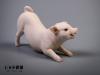  Artikelbild 3 des Artikels “Kleines Schweinchen (Set 3 Stk) 1:6 “
