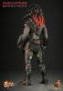  Artikelbild 3 des Artikels “1:6th scale Berserker Predator Collectible Figure “