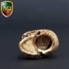  Artikelbild 3 des Artikels “Skull Totenkopf 1:6 “
