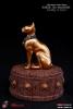  Product image 3 of the product “1/6 Anck Su Namun ”